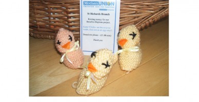 Easter Chicks Chichester