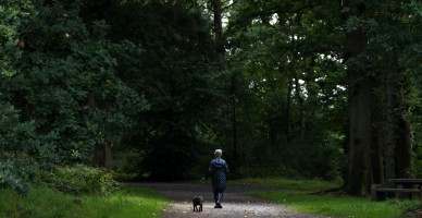 Woman Walking in Woods