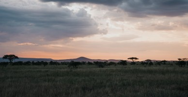 Tanzania Skyline