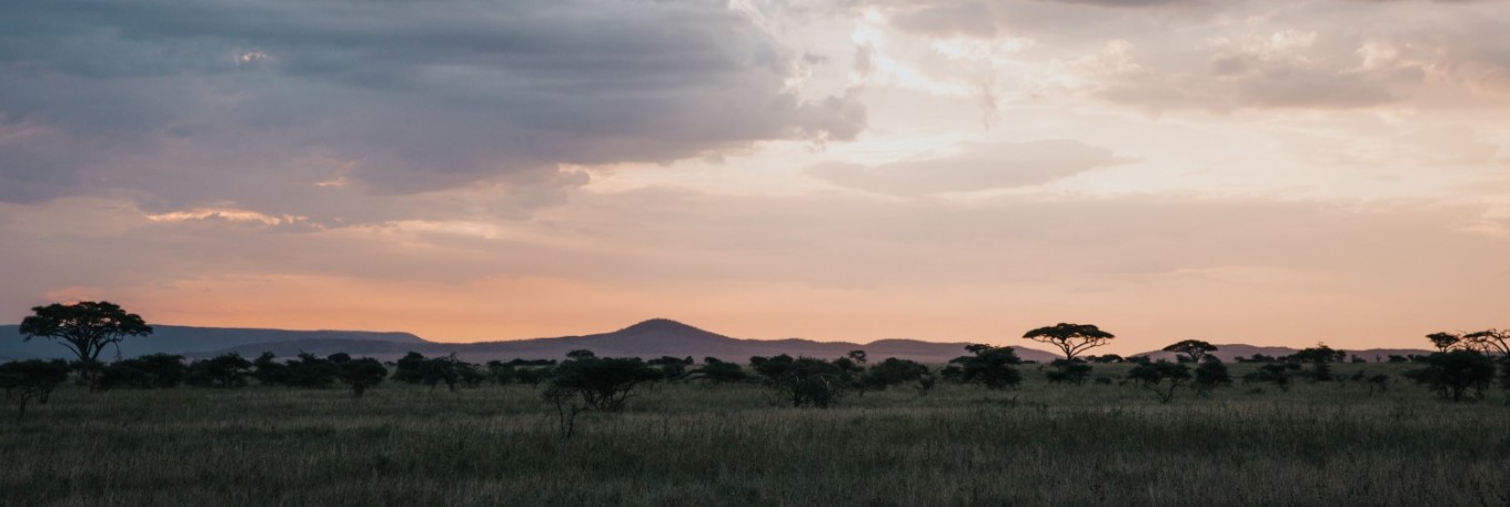 Tanzania Skyline